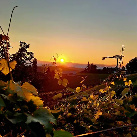 Maison d'hôtes Samenkoenig Pschait Handels Gmbh
