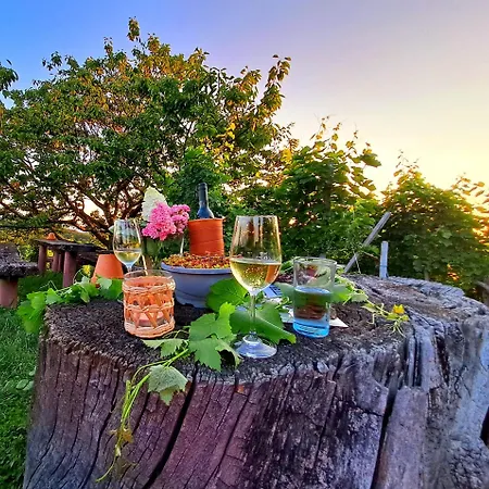 Samenkoenig Pschait Handels Gmbh Maison d'hôtes Gamlitz