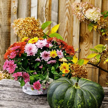 Samenkoenig Pschait Handels Gmbh 3*