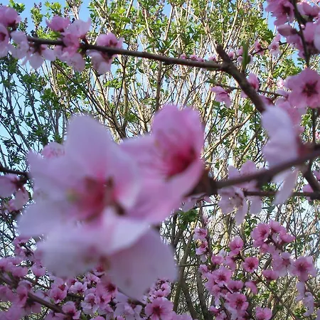 Samenkoenig Pschait Handels Gmbh 3*