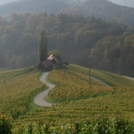 Samenkoenig Pschait Handels Gmbh Gamlitz