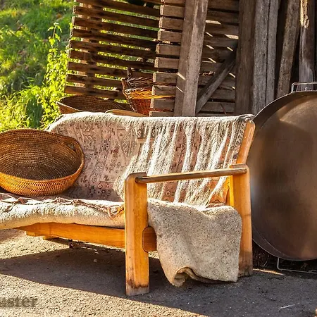 Samenkoenig Pschait Handels Gmbh Gamlitz