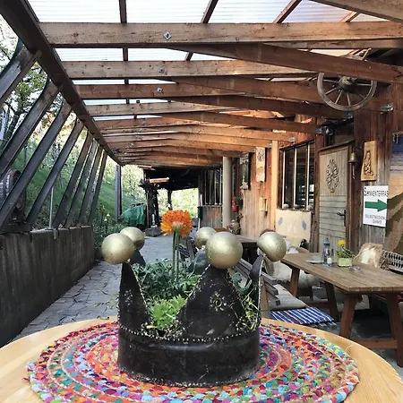 Maison d'hôtes Samenkoenig Pschait Handels Gmbh Gamlitz