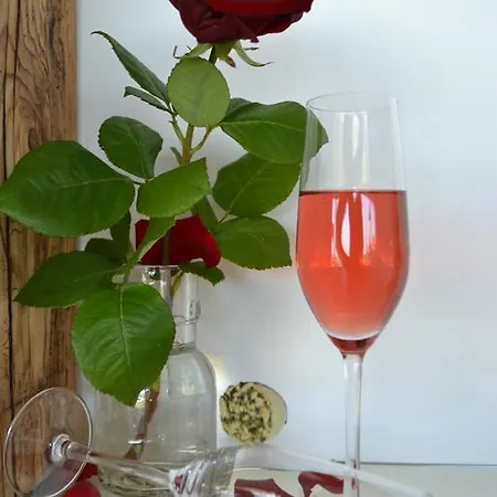 Samenkoenig Pschait Handels Gmbh 3* Gamlitz