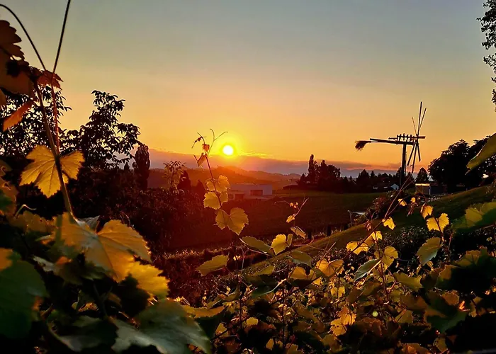 Gasthuis Samenkoenig Pschait Handels Gmbh