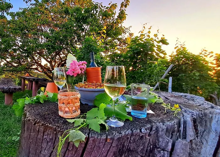 Samenkoenig Pschait Handels Gmbh بيت ضيافة غامليتز