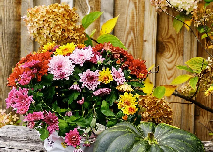 Samenkoenig Pschait Handels Gmbh 3*