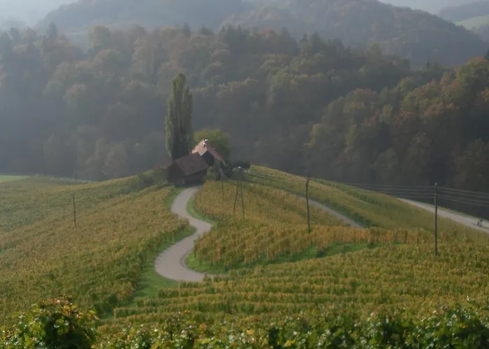Samenkoenig Pschait Handels Gmbh Gamlitz